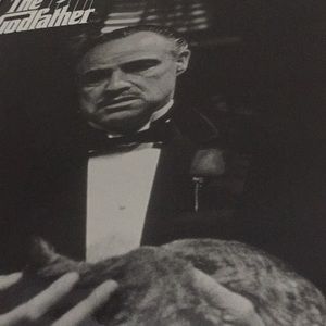 Meet your Posher, Yansel